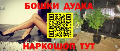 МДПВ Будённовск